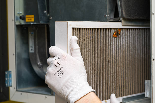 Best Professional Duct Cleaning Services  in Herrin, IL