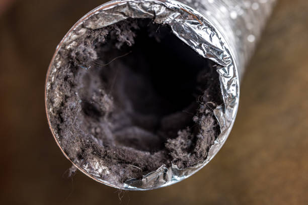 Best Best Air Duct Cleaning Near Me  in Herrin, IL